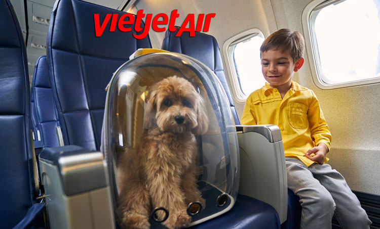 Quy định vận chuyển thú cưng trên máy bay Vietjet Air!